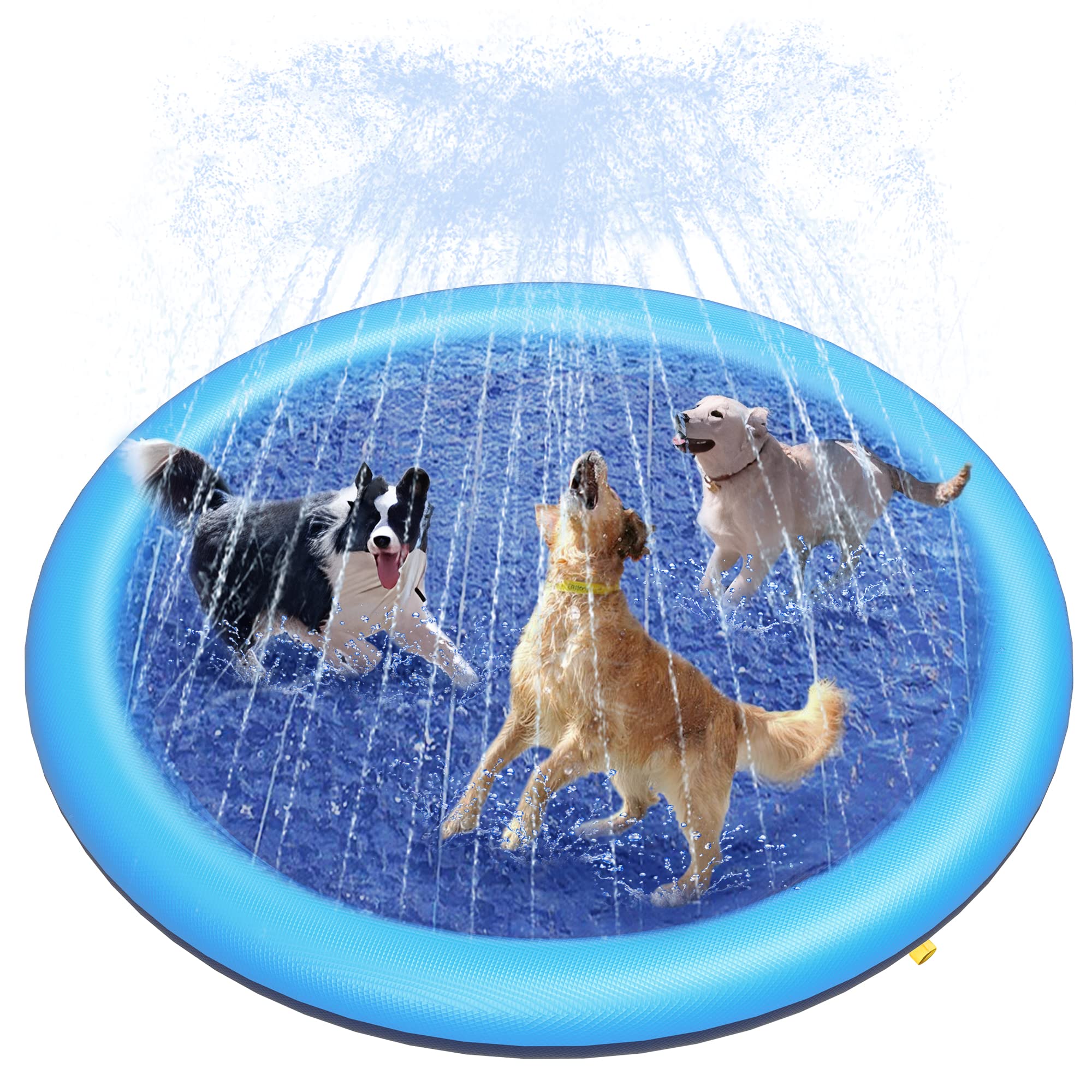 Köpek Sıçrama Havuzu Kalın Yağ - Kids Outdoor Lounge incelemesi ve fiyatı